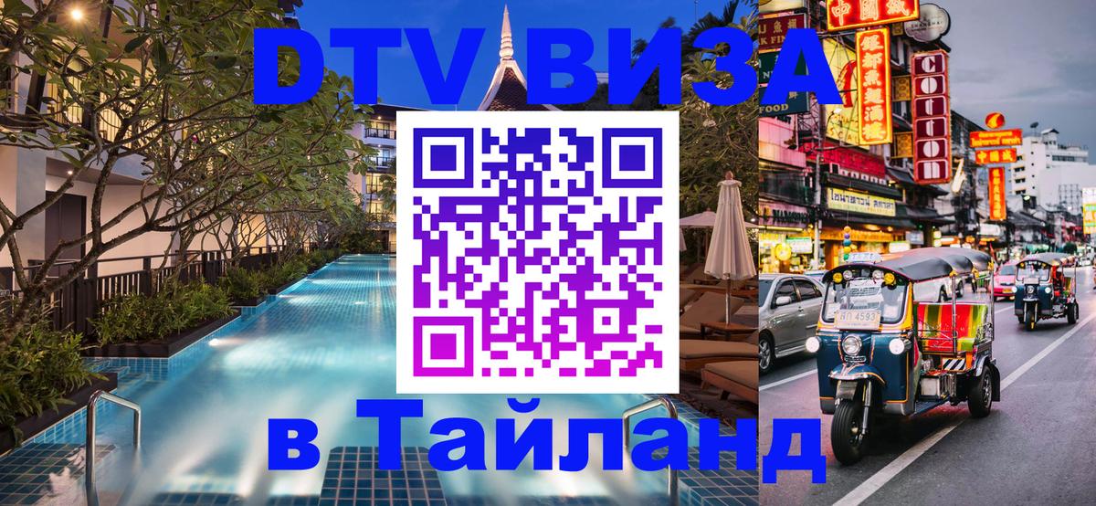 Сколько стоит DTV виза — актуальные цены, оформление даже без документов - 09.01.2026 